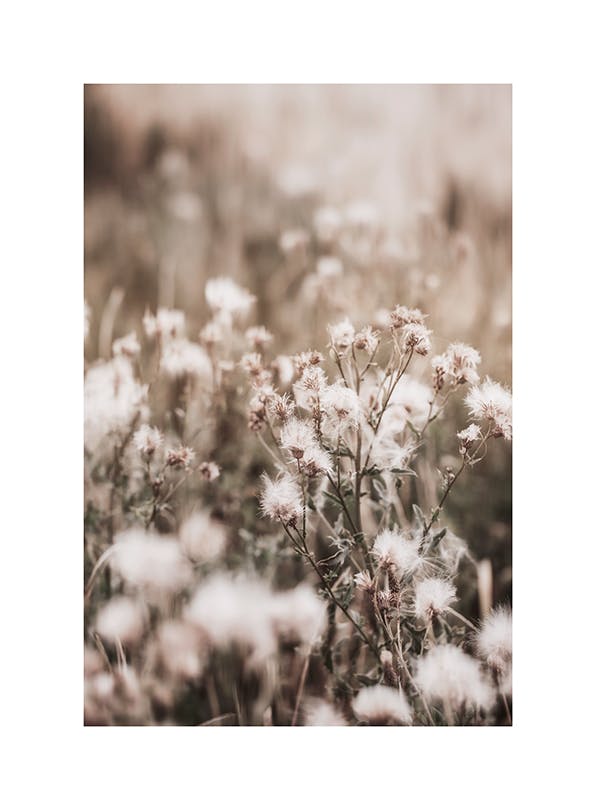 Dried Flowers on Field Poster (21x30 cm) - Poster