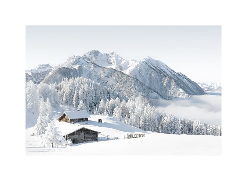 Snowscape Poster (50x70 cm)-Poster