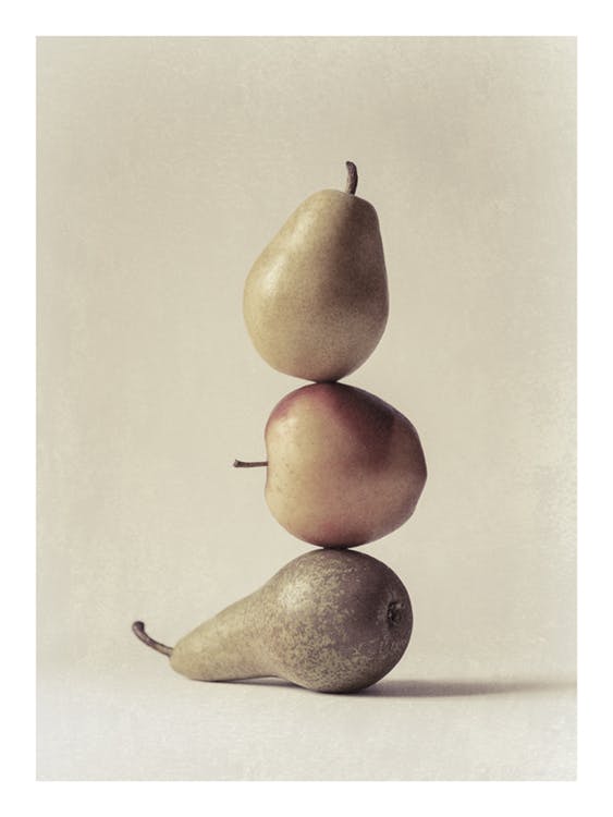 Still Life Pear No1 Affiche 0