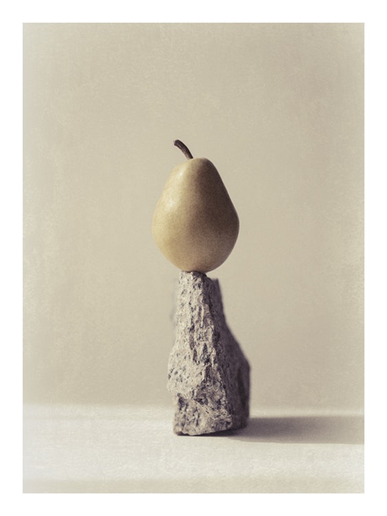 Still Life Pear No2 Poster 0