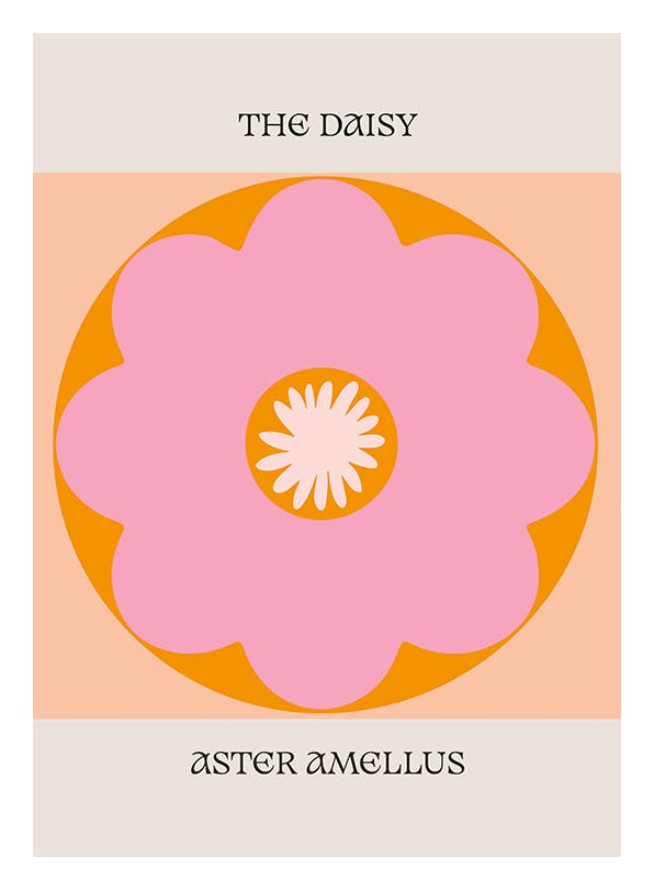 The Daisy No2 Poster (50x70 cm) - Poster