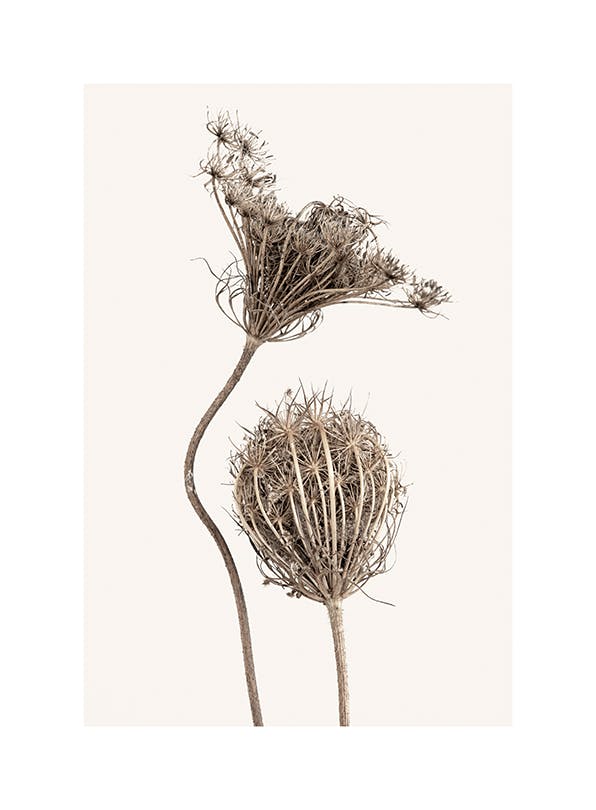 Boho Flowers Plakat (50x70 cm)-Plakaty