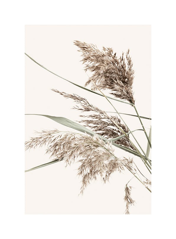 Boho Grass Plakat (21x30 cm)-Plakaty