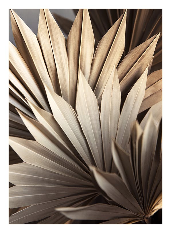 Rustic Leaves No1 Plakat (21x30 cm)-Plakaty