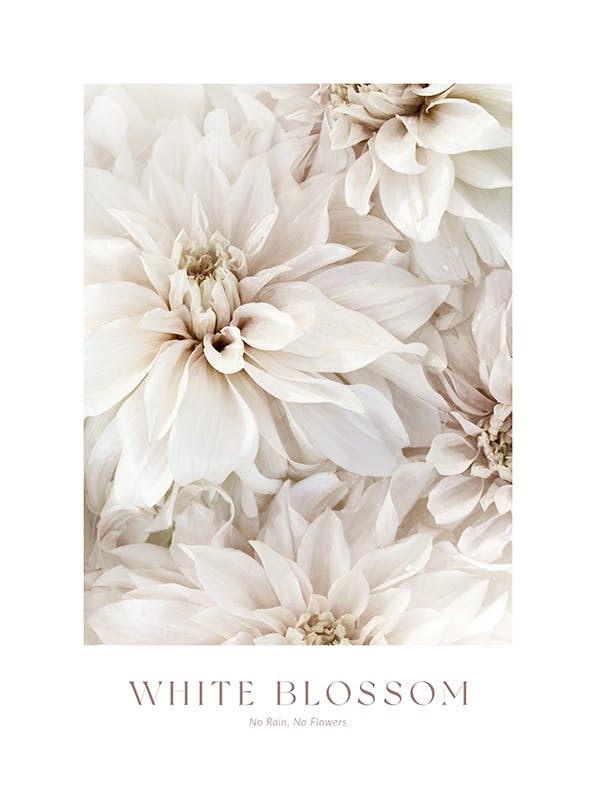 White Blossom No2 Print (21x30 cm)