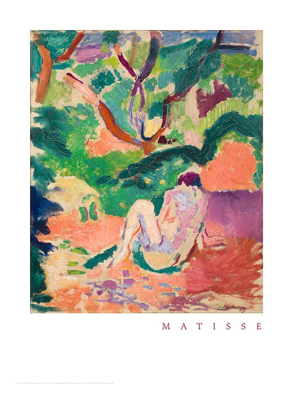 Matisse - Nude in a Wood Poster (30x40 cm) - Matisse posters