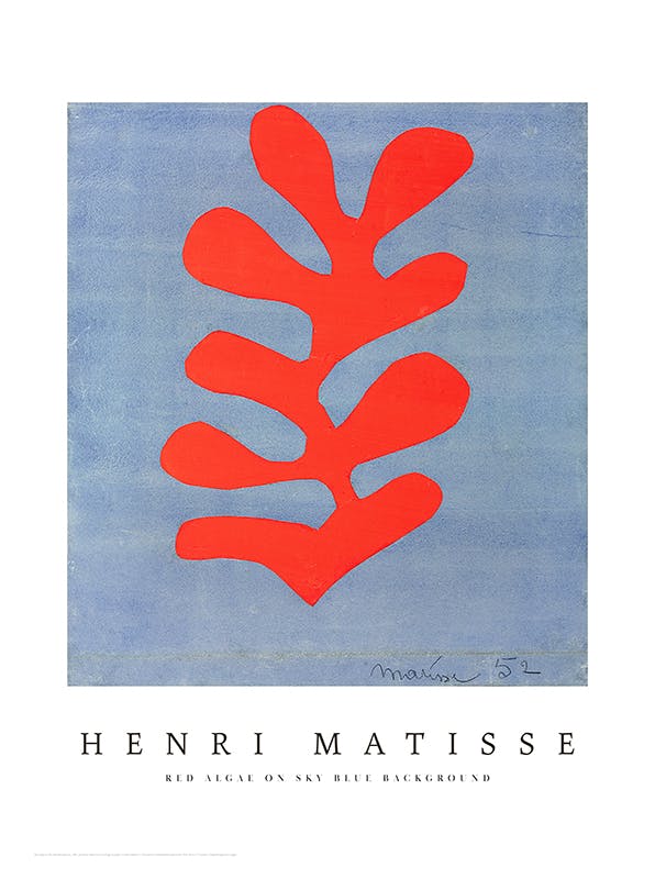Prints - Matisse - Red Algae on Sky Blue Background Print (50x70 cm) - Matisse art prints