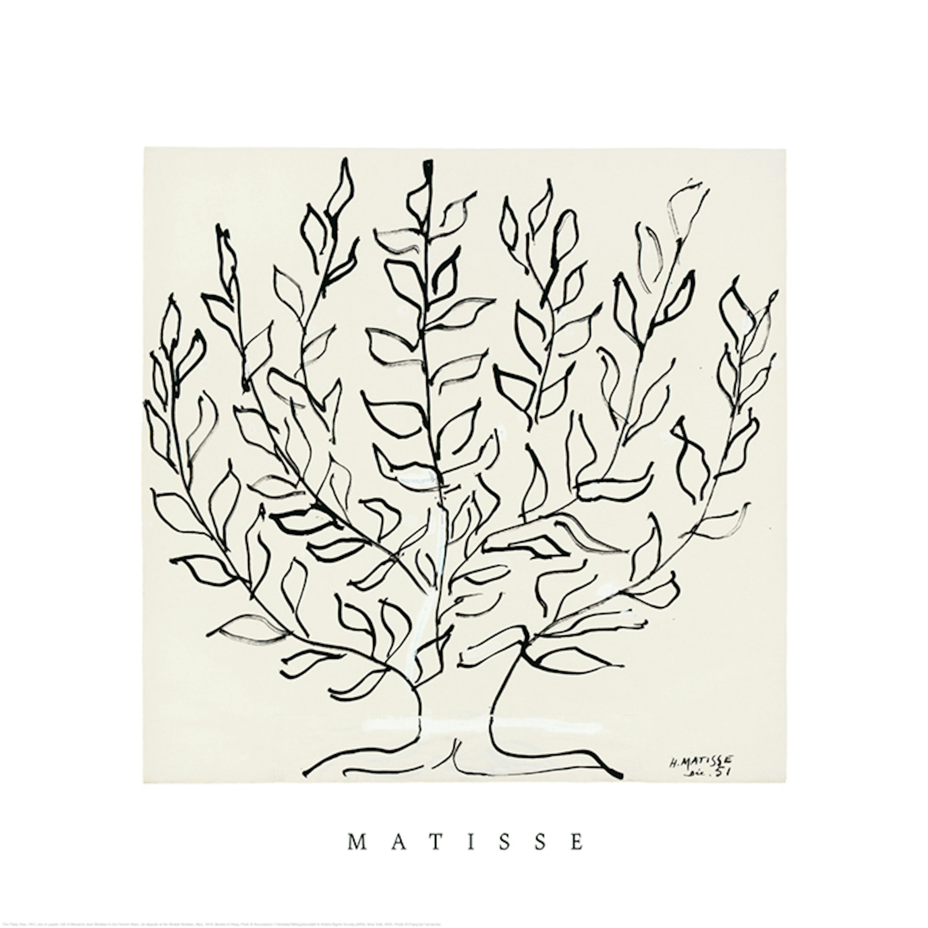 Matisse - The Plane Tree Square Poster 0