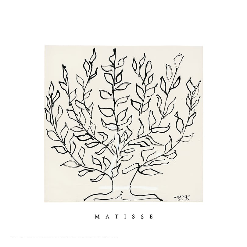 Matisse - The Plane Tree Square Poster (50x50 cm) - Matisse posters