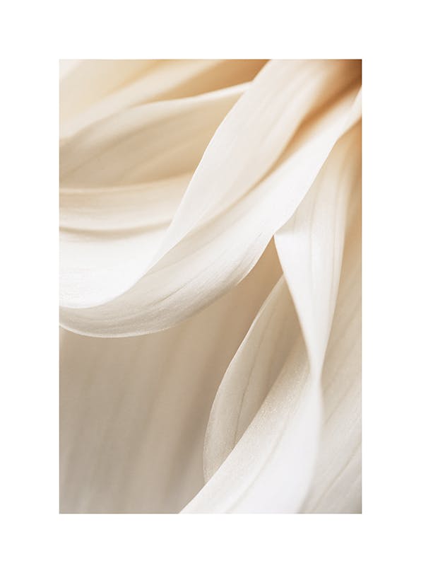Warm Flower No2 Plakat (21x30 cm)-Plakaty
