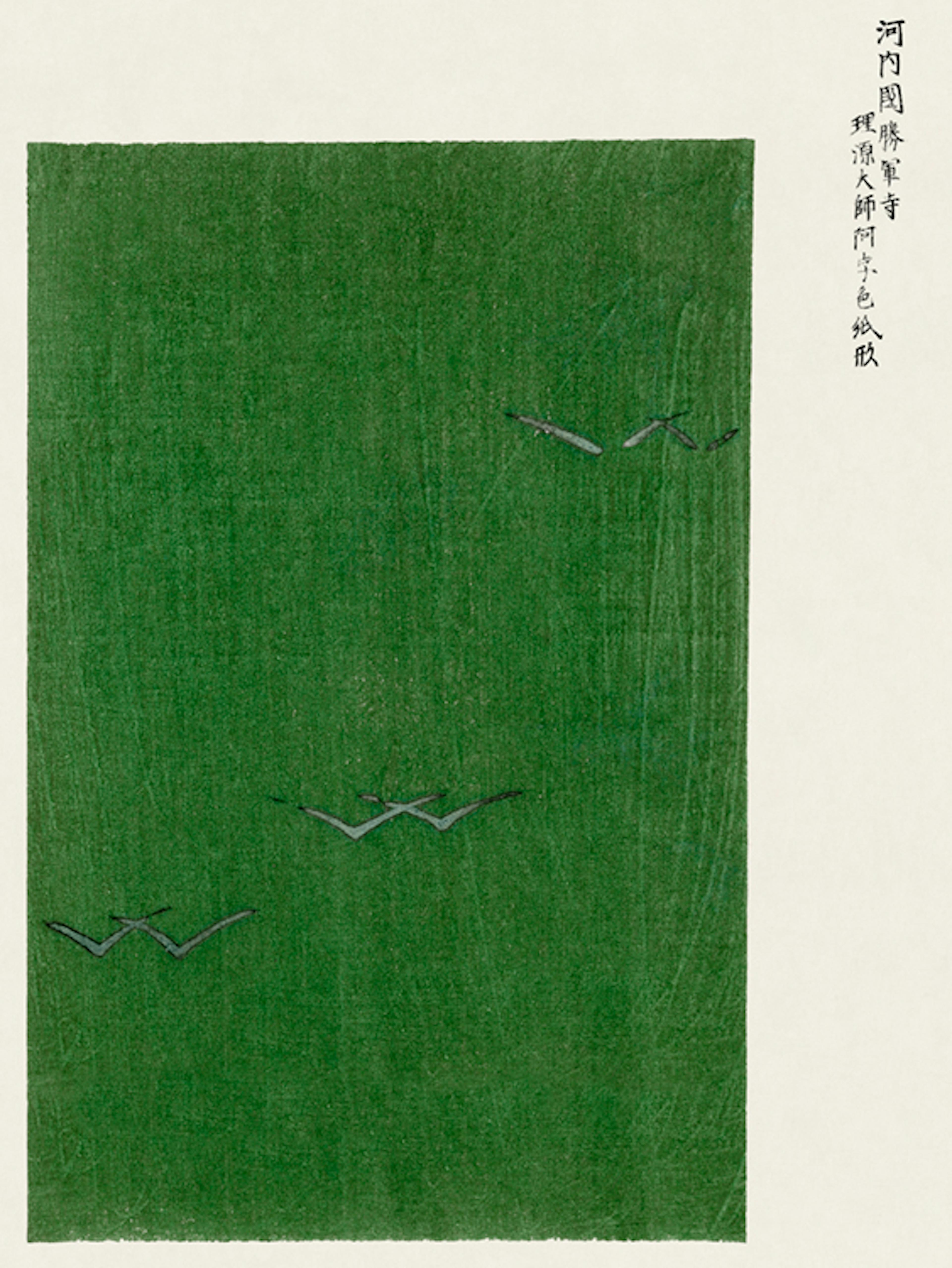 Taguchi Tomoki - Yatsuo No Tsubaki Green Print 0