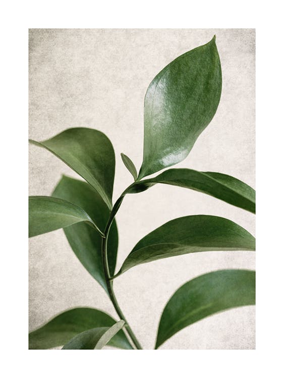 Green Botanical Poster 0
