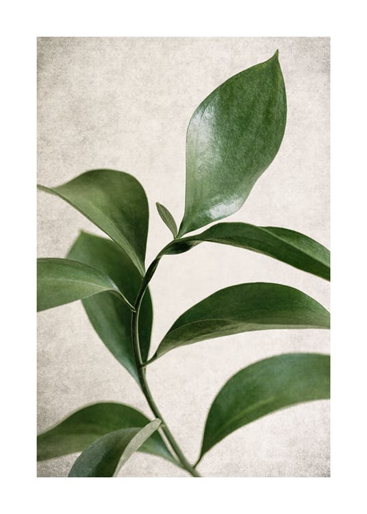 Green Botanical Plakat 0