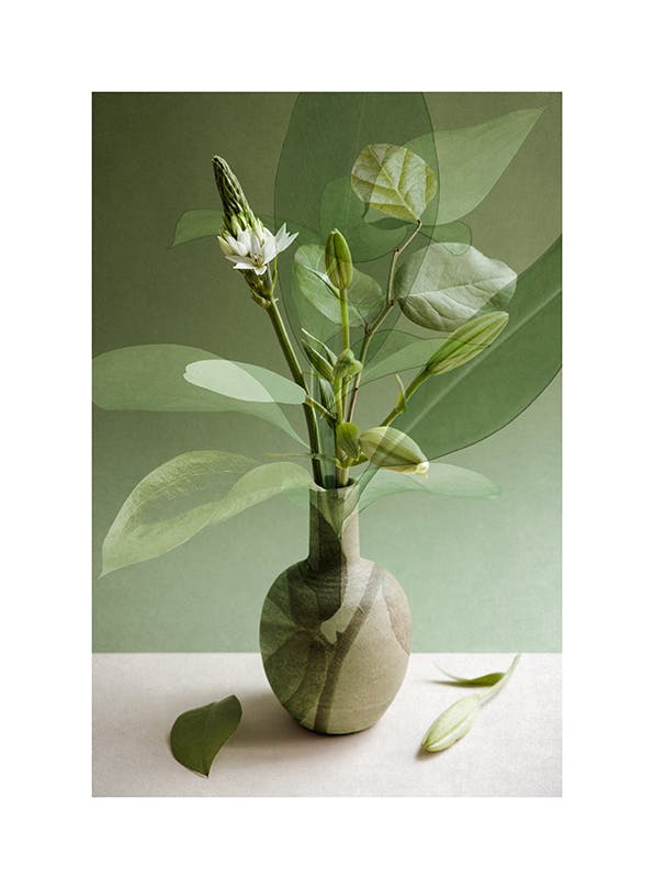 Multiple Botanicals Plakat (21x30 cm)-Plakaty