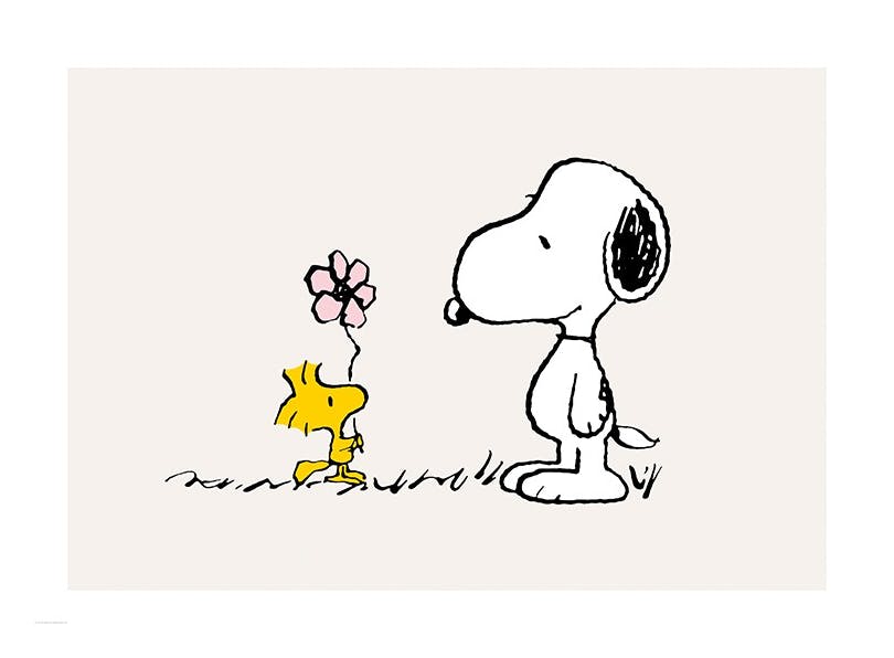 Prints - Snoopy and Woodstock Print (30x40 cm) - Snoopy
