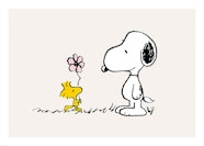 Snoopy Imprimir Para Dibujar