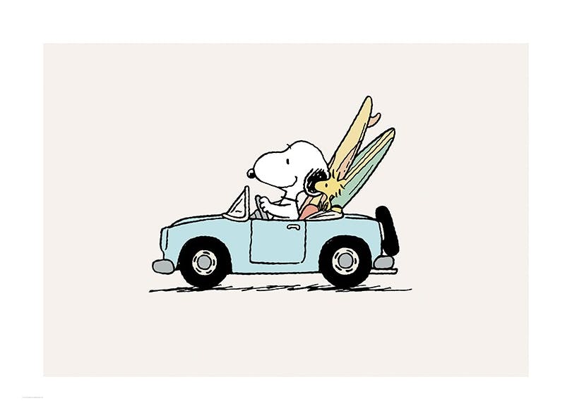Prints - Snoopy Driving Print (50x70 cm) - Snoopy