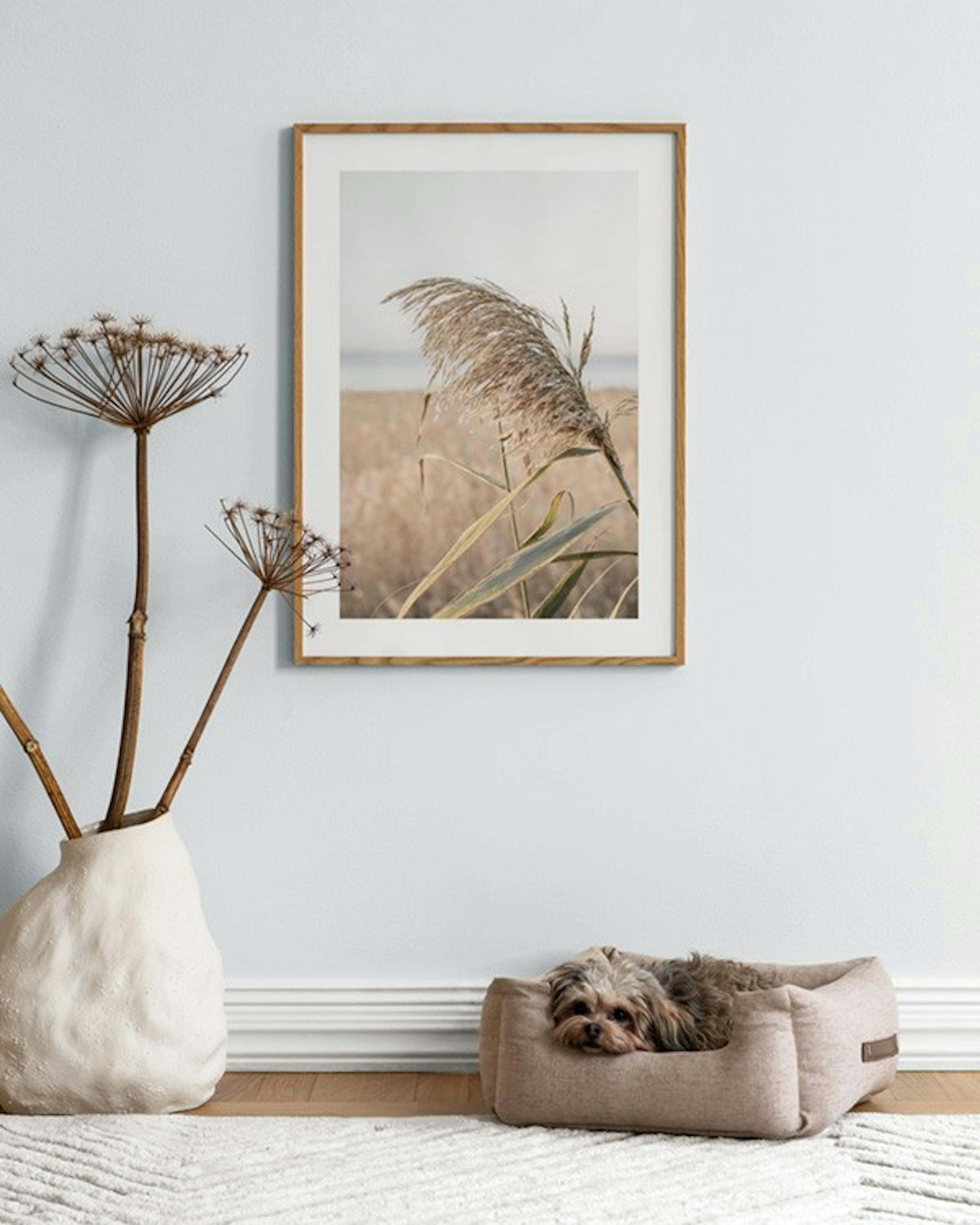 Sea Reeds Poster