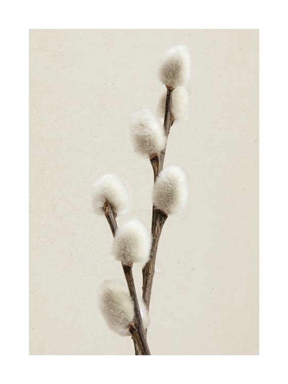 Willow Twig Affiche 0