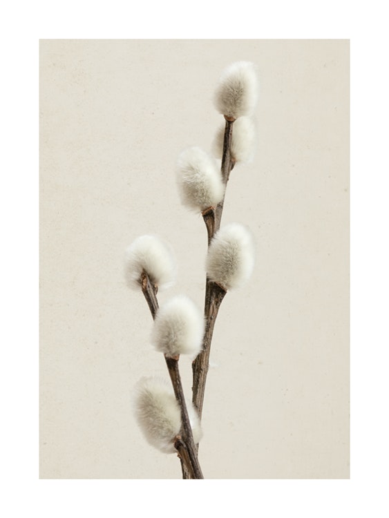 Willow Twig Poster 0