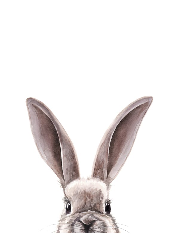 Watercolor Bunny Affiche (30x40 cm)