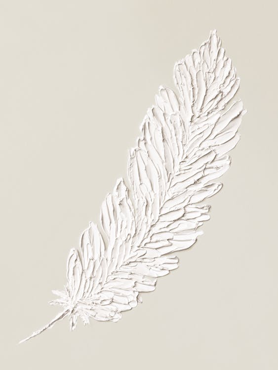 Feather Texture Plakát 0