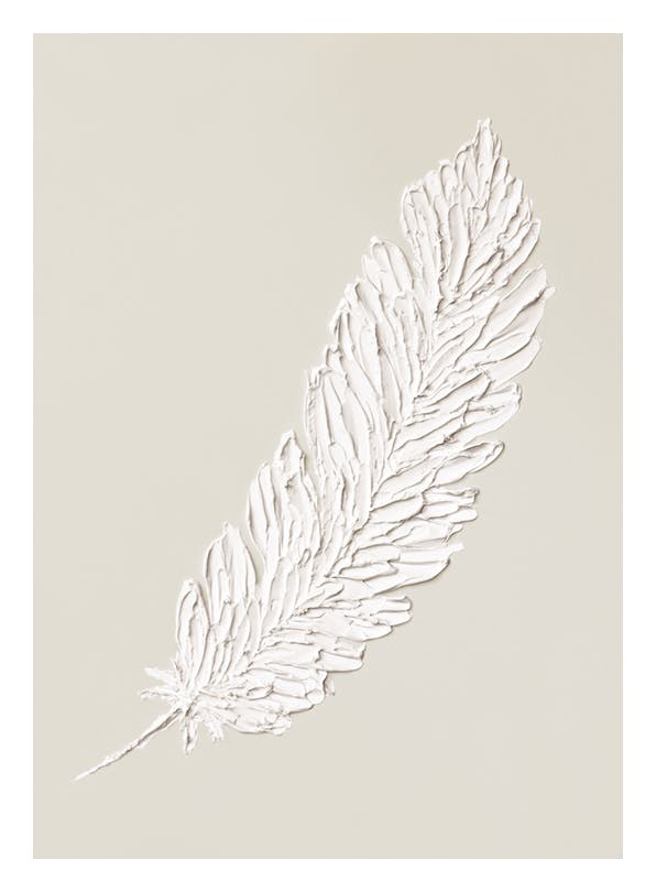 Prints - Feather Texture Print (50x70 cm) - Paintings