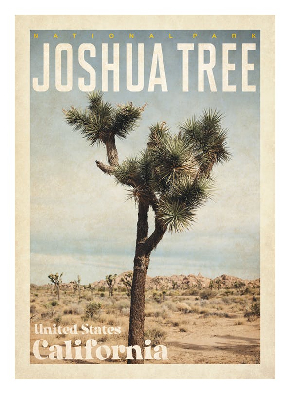 Prints - Joshua Tree Print (50x70 cm) - Cities