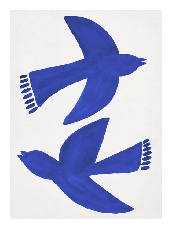 Bluebirds Fly Poster 0