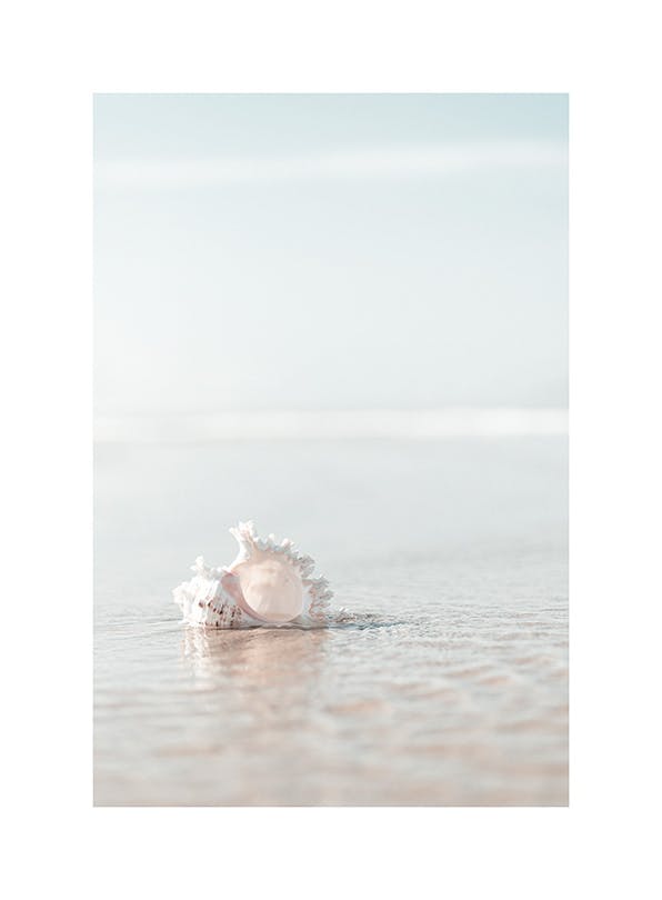 Prints - Seashell on the Beach Print (50x70 cm) - Beach prints