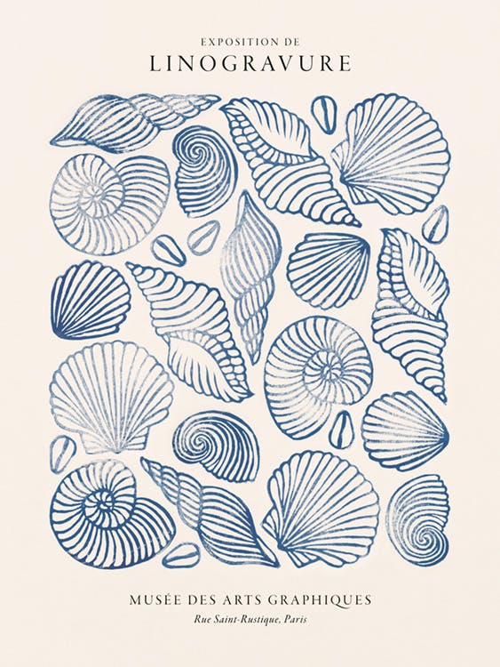 Linocut Seashells Plakát 0