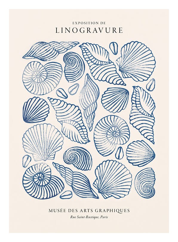 Linocut Seashells Affiche (30x40 cm) - Affiches d'art