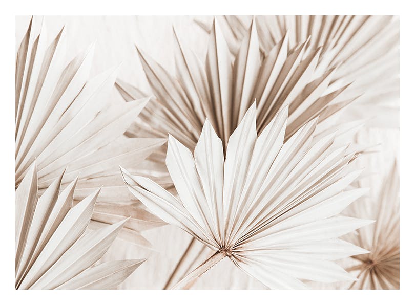 Beige Palm Leaves Poster (30x40 cm) - Poster mit Palmenmotiven