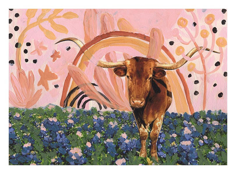 Eleanor Baker - Rainbow Longhorns Plakat (30x40 cm)- Obrazy