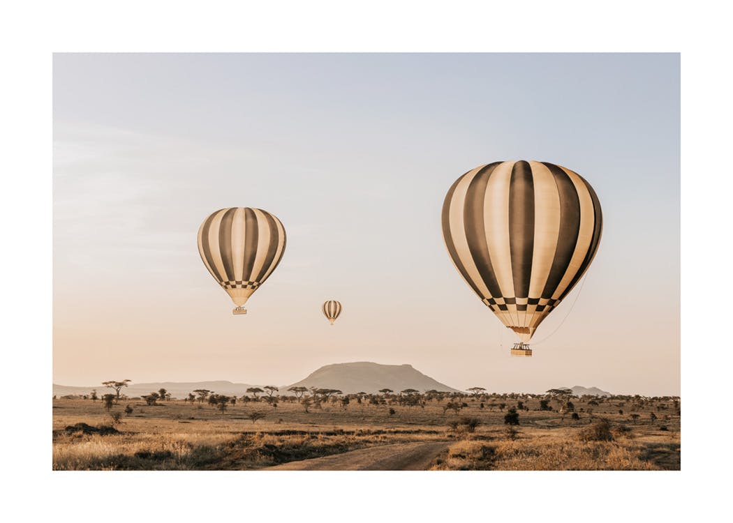 Air Balloons Over Serengeti Affiche 0