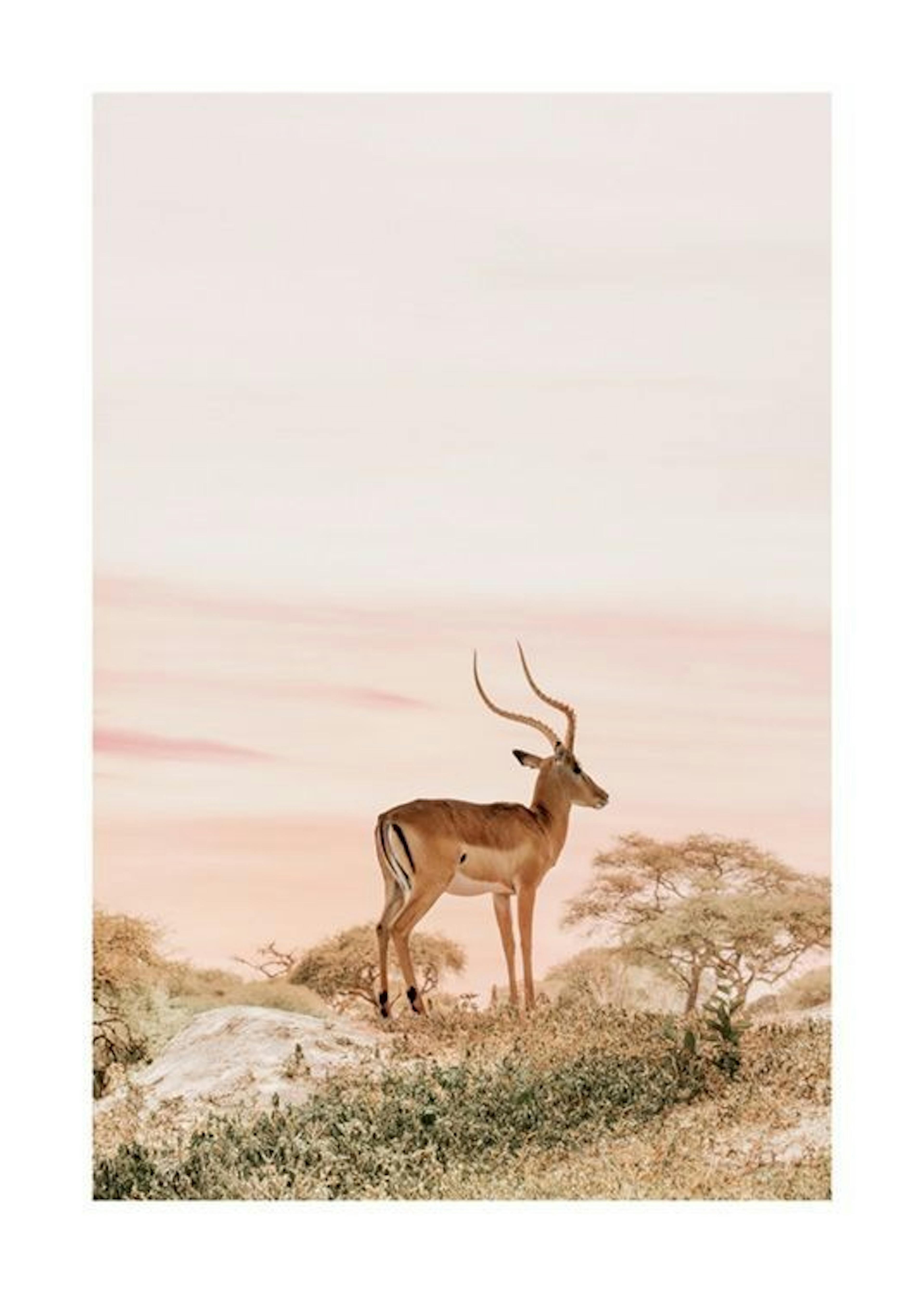 Daydreaming Impala Poster 0