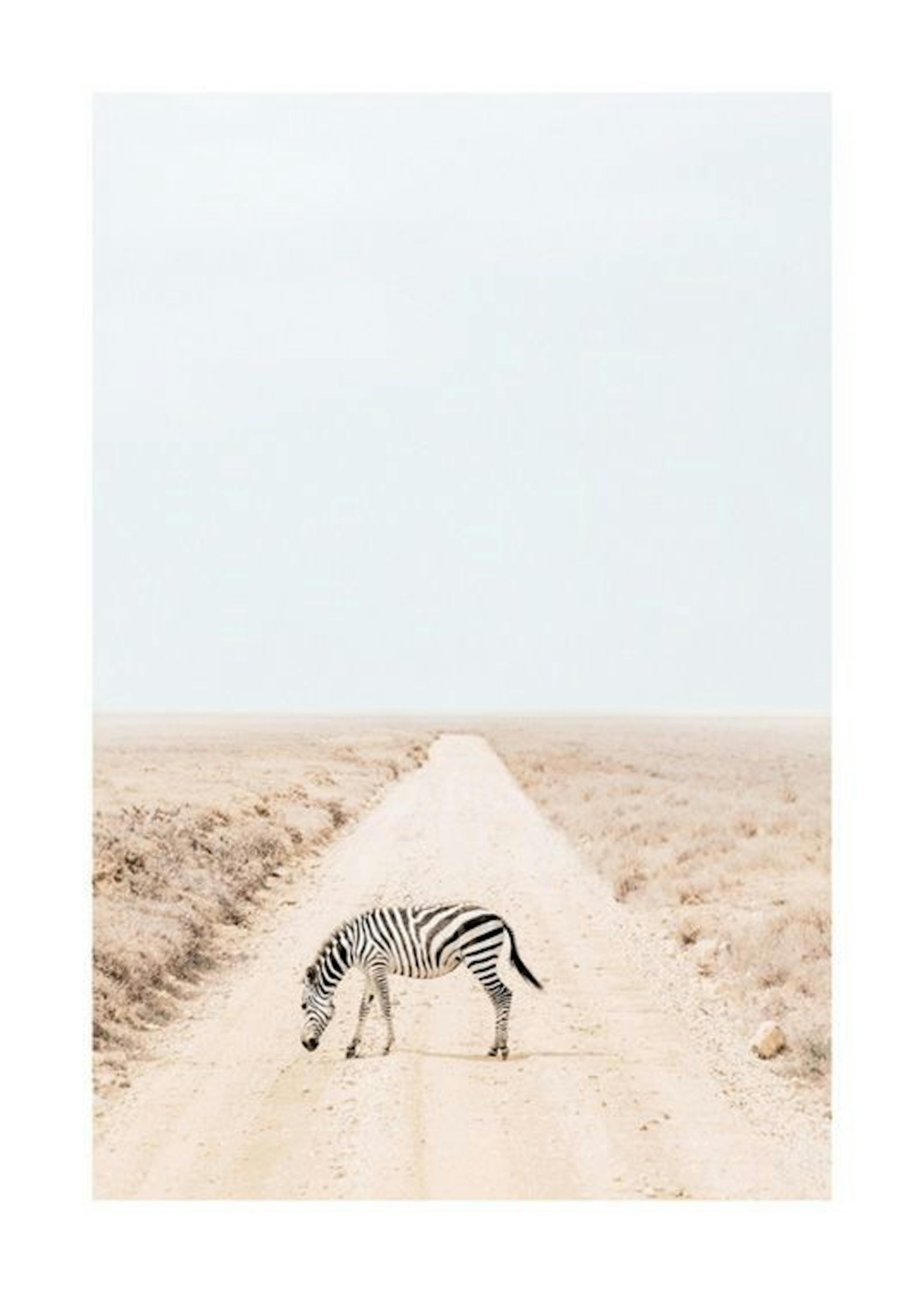 Striped Journey Poster 0