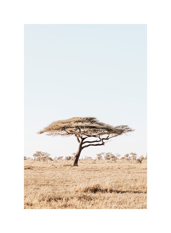 Calm Nature Poster (50x70 cm)