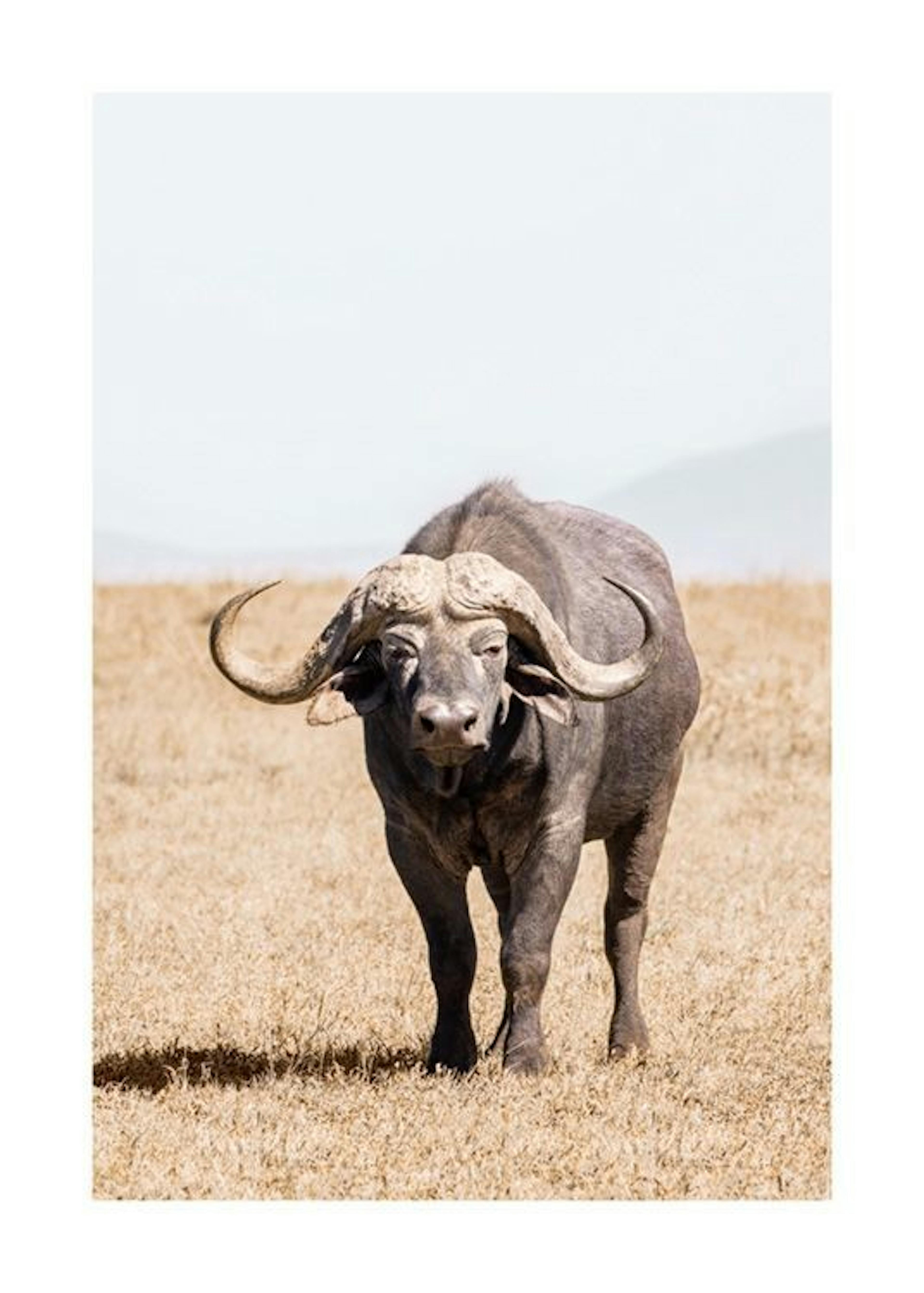 African Buffalo Print 0