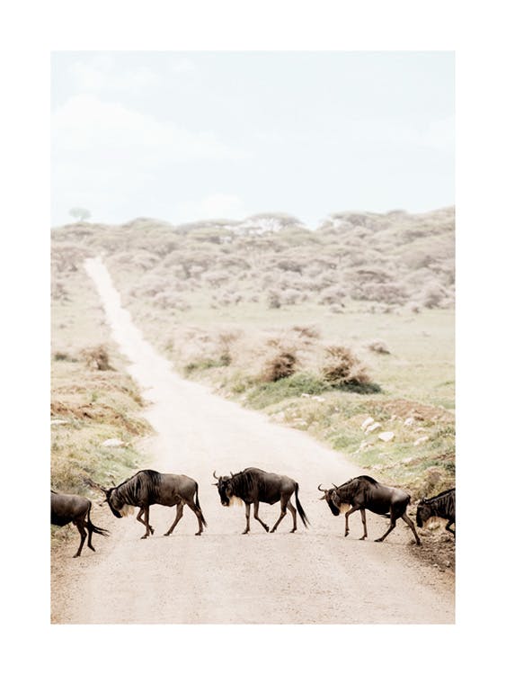 Crossing Wildebeests​ Affiche 0