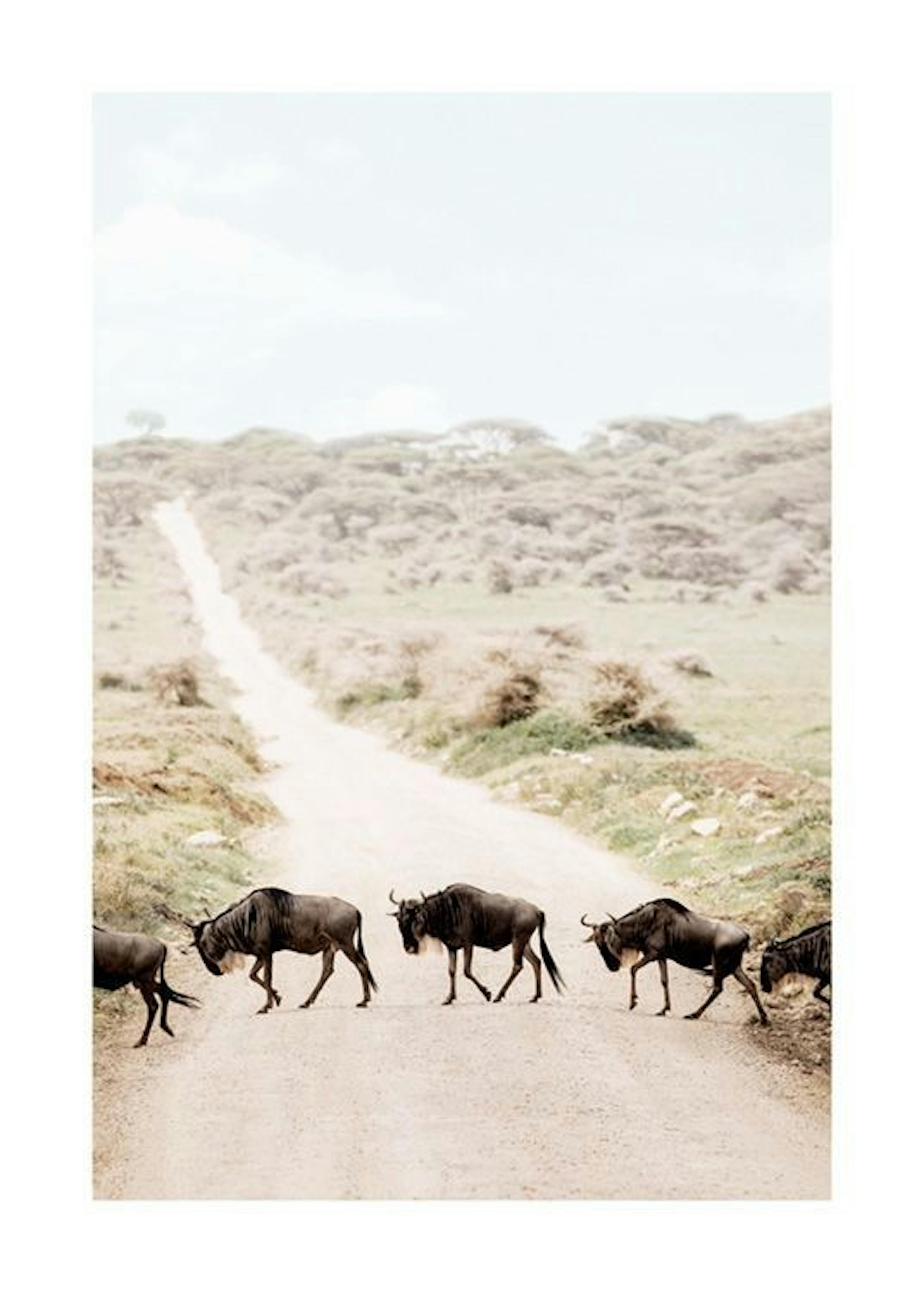 Crossing Wildebeests​ Print 0