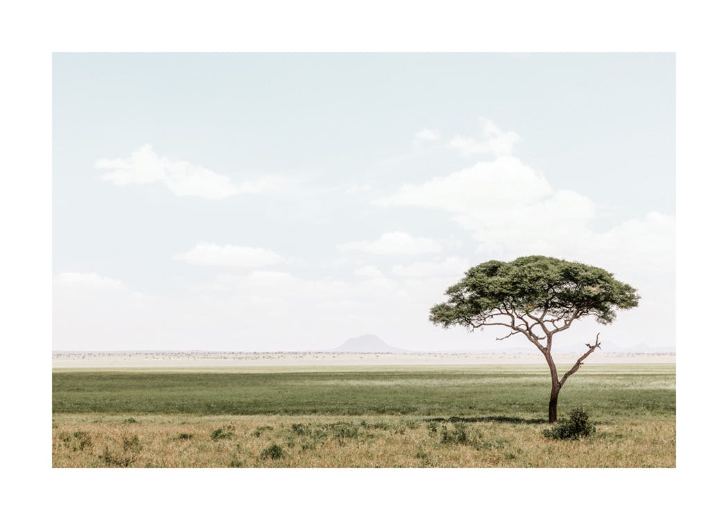 African Landscape​ Plakat 0