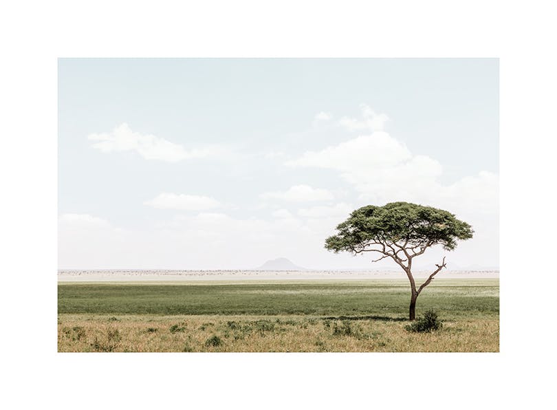 African Landscape​ Poster (30x40 cm)