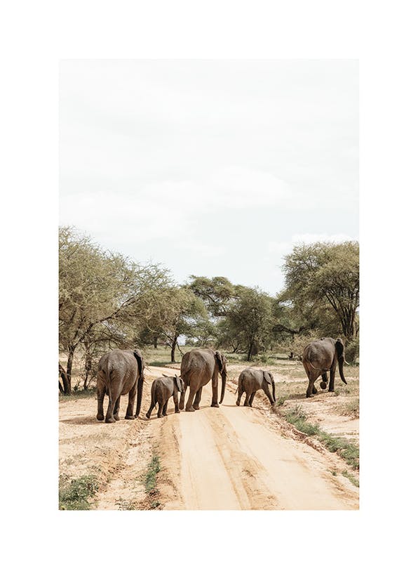 Prints - An Elephant’s Journey​ Print (50x70 cm) - Studio Savanna
