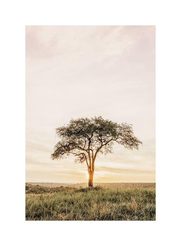 Prints - Acacia Tree Print (50x70 cm) - Studio Savanna