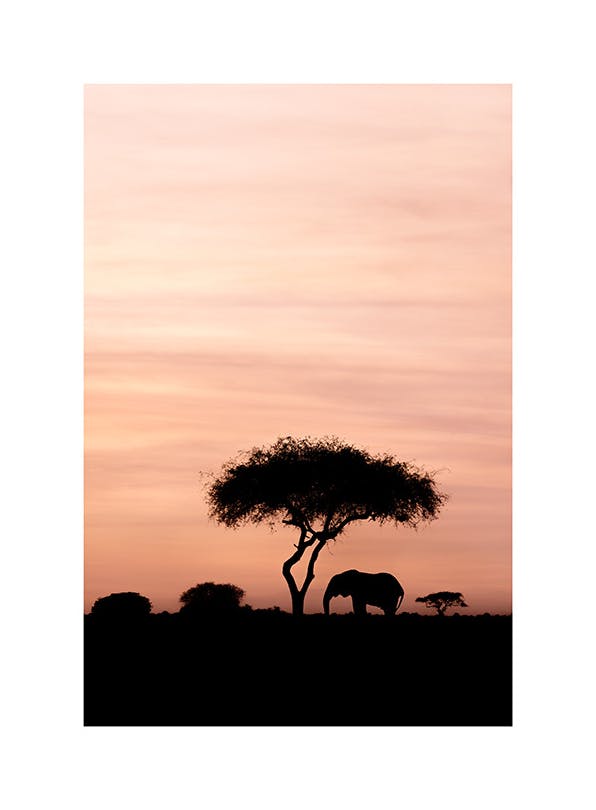 Prints - Dazzling Sunset Print (30x40 cm) - Studio Savanna