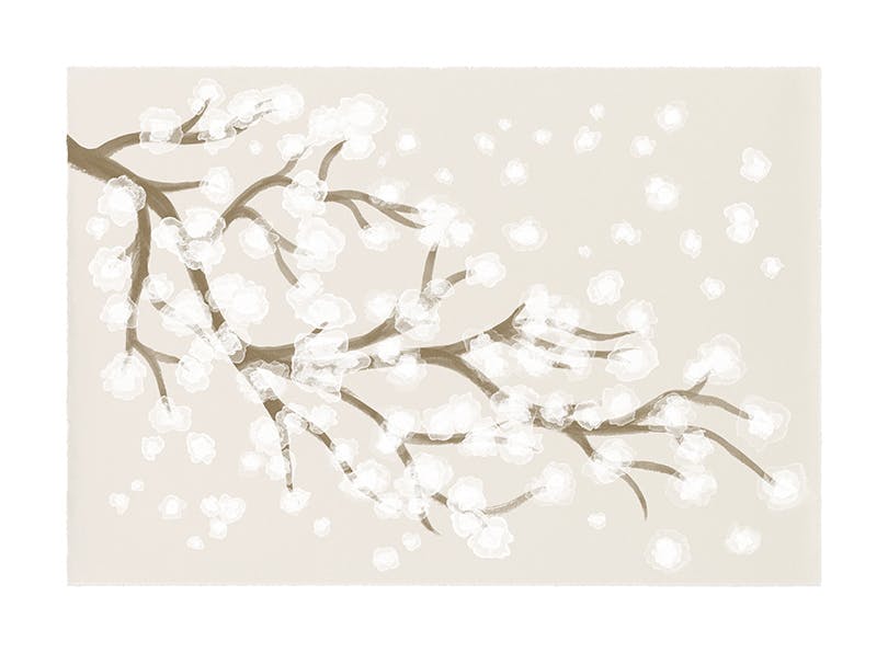 Japandi Cherry Blossom Plakat (50x70 cm)- Rośliny zielone