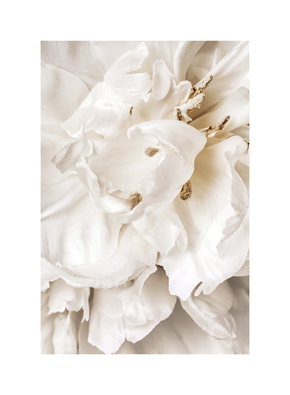 Dreamy Flower Close up Affiche (30x40 cm) - Tableaux de fleurs