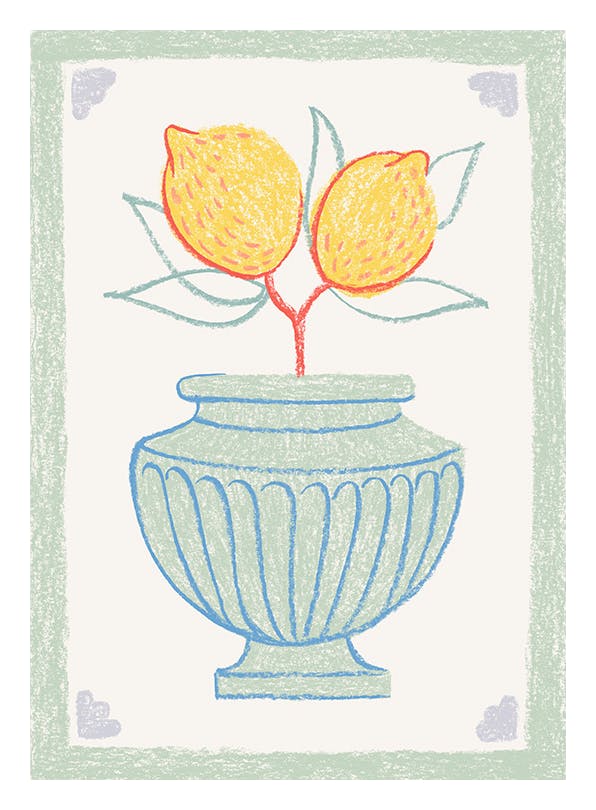Citrus Vase Plakat (50x70 cm)- Sztuka