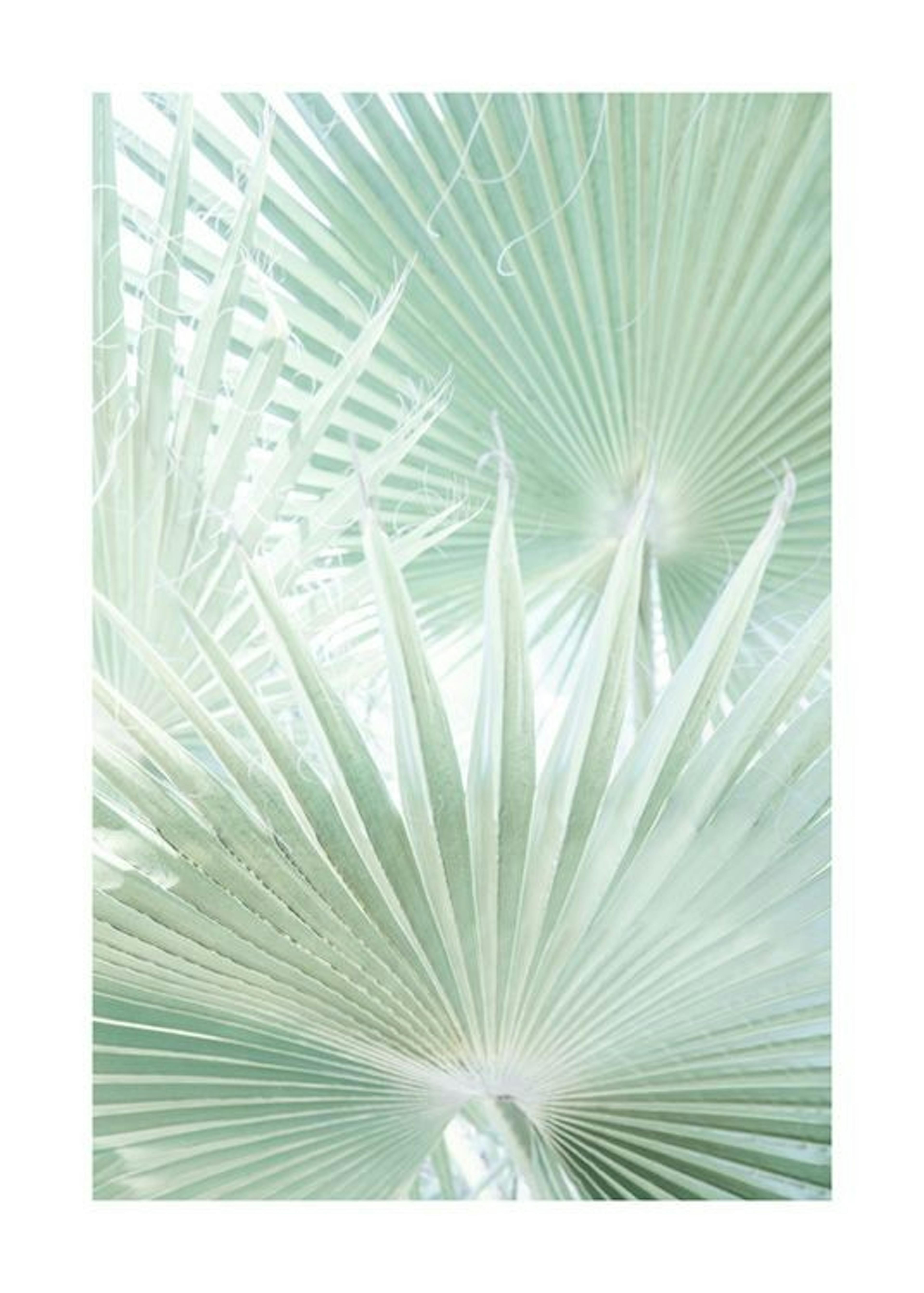 Light Green Leaves Affiche 0